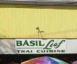 Basil Leaf-New-Orleans