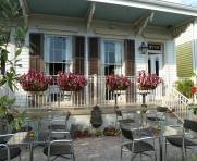 Apolline-New-Orleans