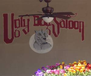 Ugly Dog Saloon & Bar-B-Que-New-Orleans
